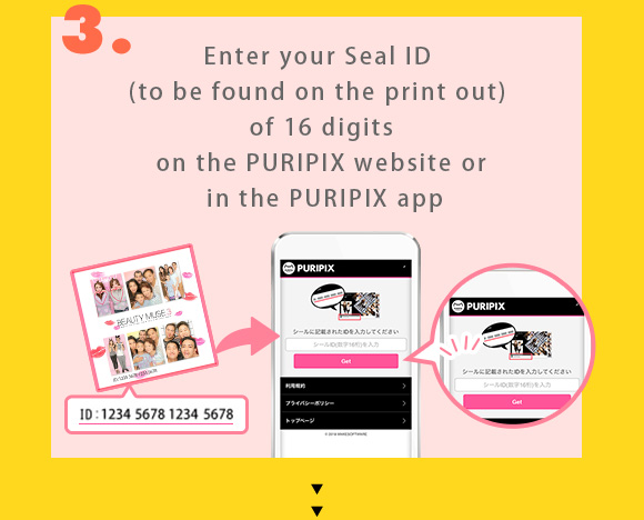 3.Enter your Seal ID (to be found on the print out) of 16 digits on the PURIPIX website or in the PURIPIX app